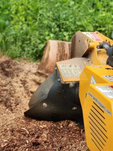 Professional Stump Grinding